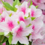 Thumbnail of related posts 091