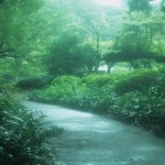 Thumbnail of post image 115