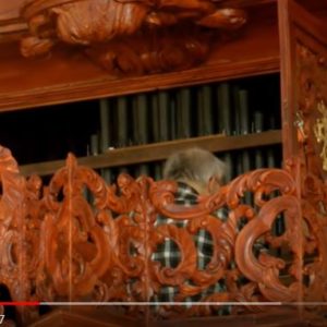 Thumbnail of post image 194