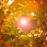 Thumbnail of post image 149