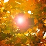 Thumbnail of post image 005