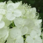 Thumbnail of post image 035