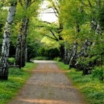 Thumbnail of post image 135