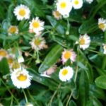 Thumbnail of post image 181