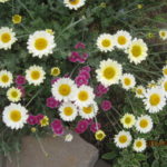 Thumbnail of post image 078