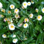 Thumbnail of post image 032