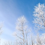 Thumbnail of post image 093