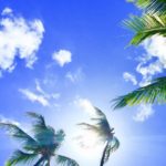 Thumbnail of post image 088