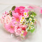 Thumbnail of post image 034