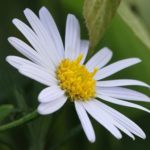 Thumbnail of post image 112